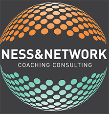 ness-network.com